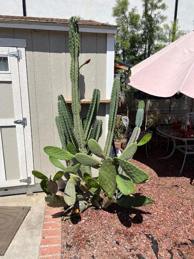 Private Los Angeles Room - Free Wifi, Ac, Tv, Private Fridge, Kitchen, Near Usc - Exposition Park - Usc Memorial Coliseum - Banc Of California Bmo Stadium - Downtown Los Angeles Dtla - University Of Southern California Usc!! Екстериор снимка